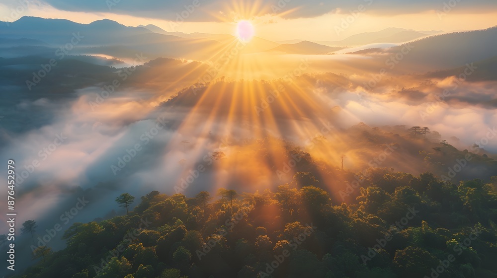 Fototapeta premium Sunrise over misty forest with sun rays shining through the fog