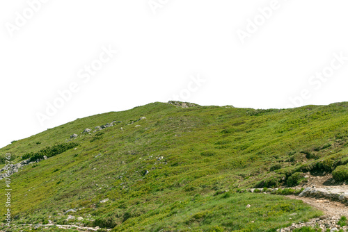 Fotografie High green hill. Isolated