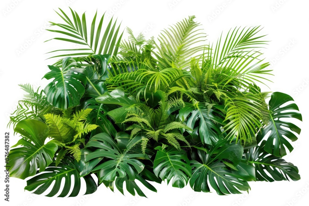 Close-up of various tropical plants on a bright white surface Close-up of various tropical plants on a bright white surface