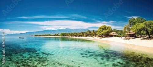 Tranquil Tropical Beach with Clear Water and Lush Greenery