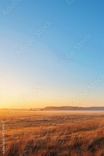 Vast field bathed in golden sunrise against clear blue sky Tranquil scene captures beauty of dawn