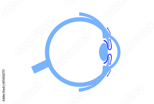 Fluids in the eye