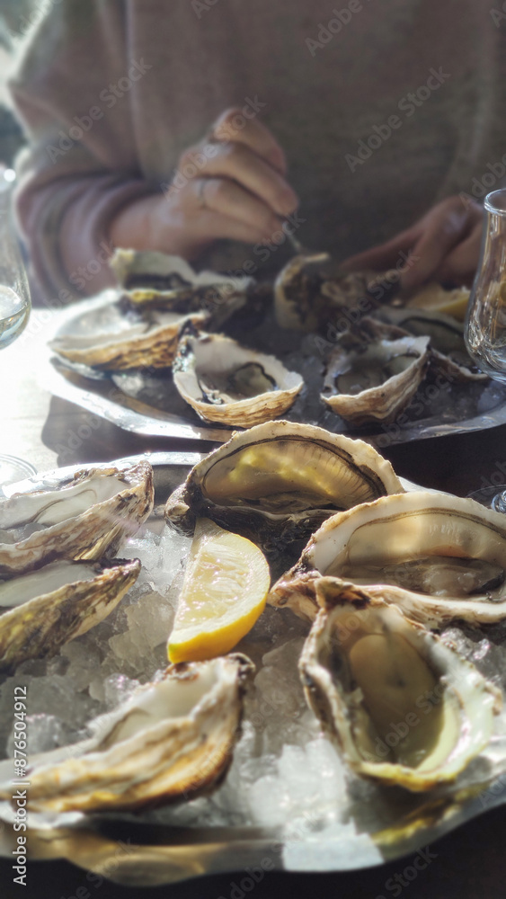 fresh french oyster as gourmet seafood fresh french oyster as gourmet seafood