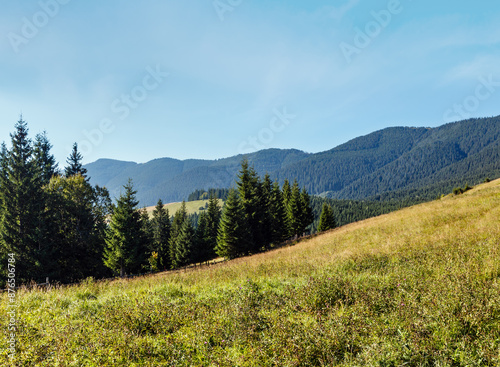 Summer mountain view (Carpathian, Ukraine).