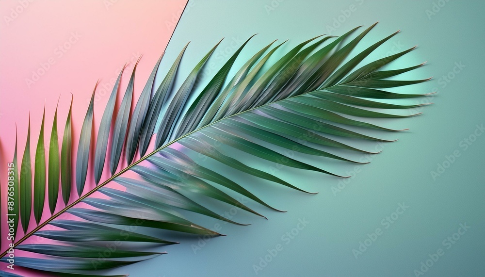 Obraz premium background