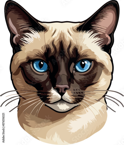 Siamese cat the Lovely Kitten with Blue Eyes of vector illustration isolated on a funny happy Domestic animal.