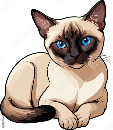 Siamese cat the Lovely Kitten with Blue Eyes of vector illustration isolated on a funny happy Domestic animal.