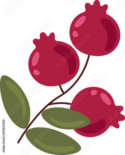 Cranberry Branch With Leaves
