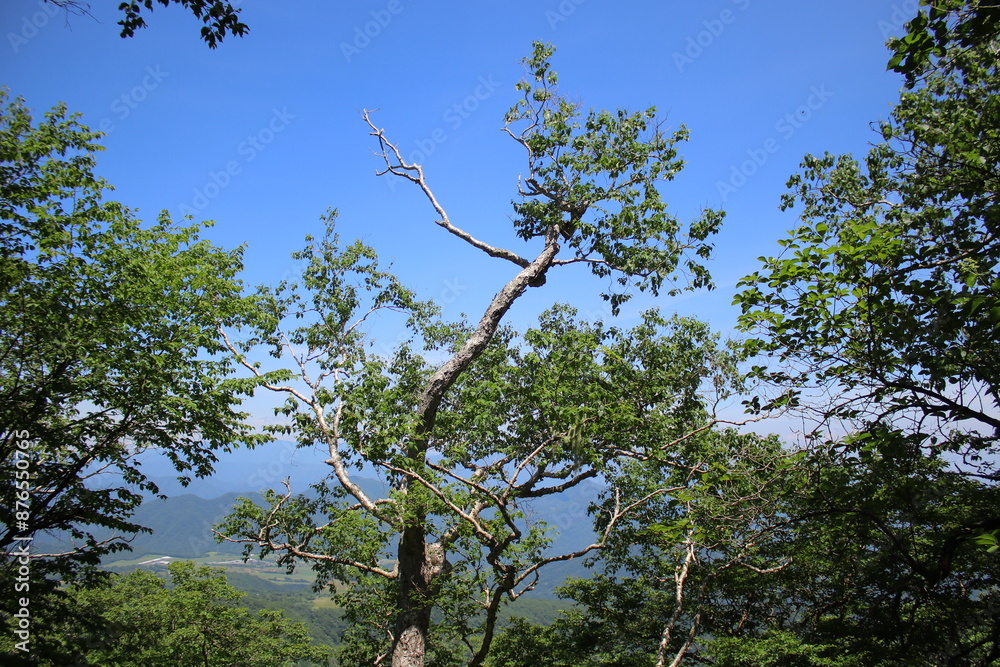 Fototapeta premium 霧降高原とその周辺の風景