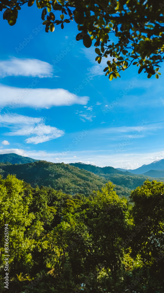 Green hilly landscape with blue sky Green hilly landscape with blue sky