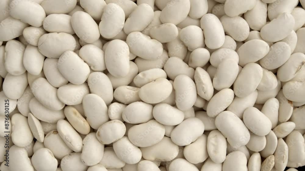 Close up on white beans rotating, overhead view of many beans filling the screen. Close up on white beans rotating, overhead view of many beans filling the screen.