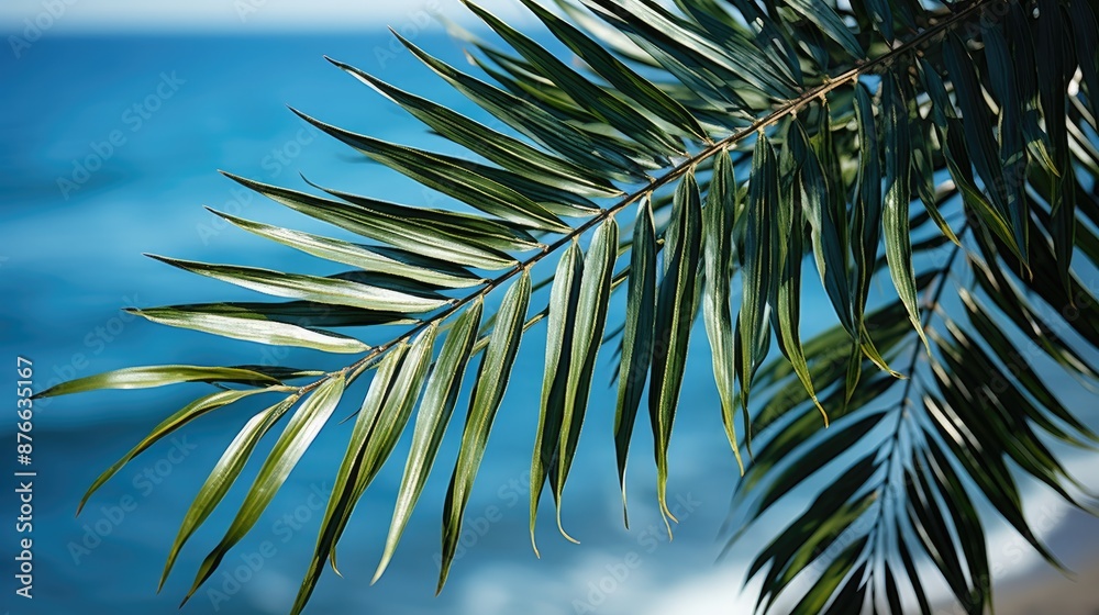 palm tree on blue sky palm tree on blue sky