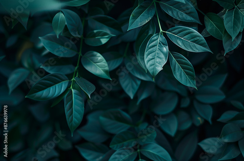 green leaves background