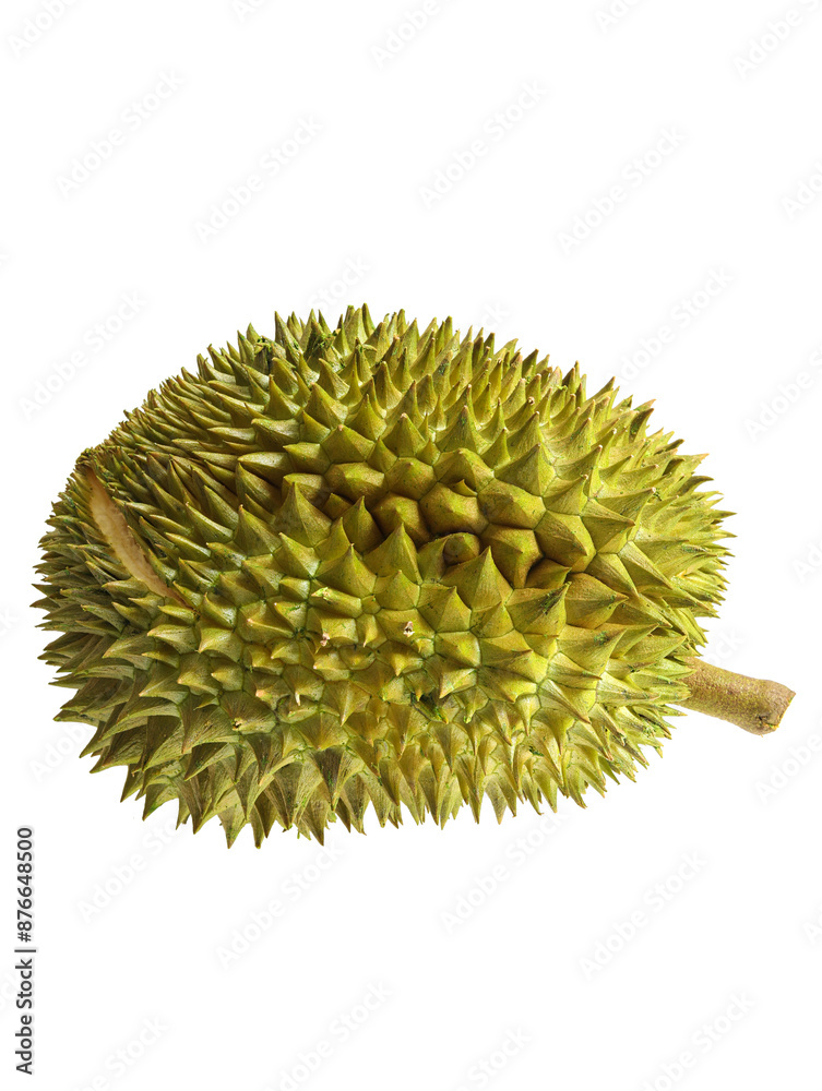 A white background picture of a summer fruit durian A white background picture of a summer fruit durian