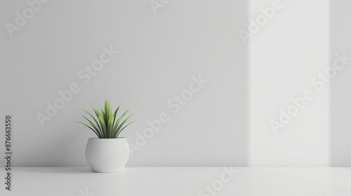 Minimalist interior with a small green plant in a white pot against a bright, clean white background. Perfect for modern home decor inspiration.