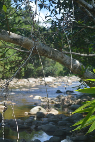  KENERONG RIVER ,DABONG,KELANTAN photo