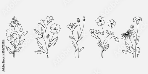 Hand drawn flower bouquet line element vector. Collection of foliage, leaves branch, wildflower, poppy, daisy, sunflower, eucalyptus. Spring blossom illustration design for logo, wedding, tattoo.