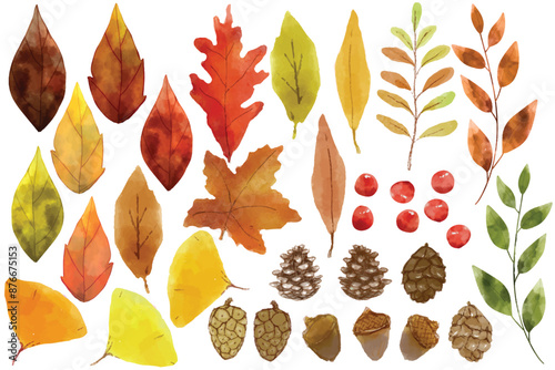 set of atumn floral watercolor, flower watercolor, leaves watercolor. Draw vector illustration collection autumn leaves for fall autumn season concept Watercolor style. 