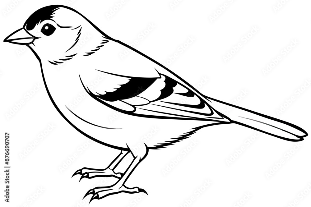 Fototapeta premium Chaffinch icon vector line art illustration