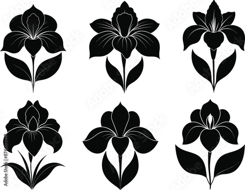 Silhouetted Iris Blossom Collection isolated white background