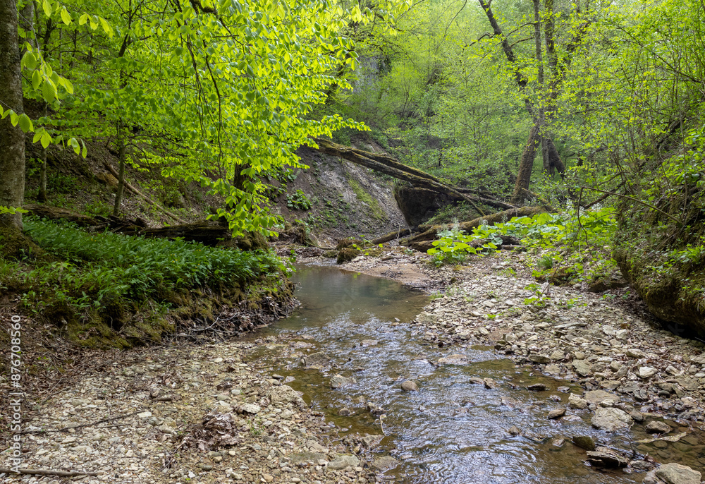spring, the source of the river originating in a mountainous area, a day in a nature park,walking along the canyon spring, the source of the river originating in a mountainous area, a day in a nature park,walking along the canyon