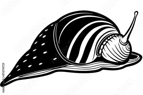 Cone Snail sleeps icon vector on white background