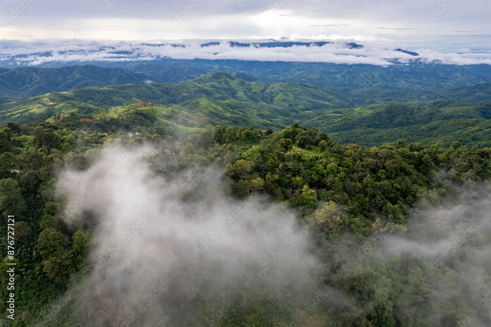 Landscape of Morning Mist with Mountain Layer at north of Thailand. mountain ridge and clouds in rural jungle bush fores Landscape of Morning Mist with Mountain Layer at north of Thailand. mountain ridge and clouds in rural jungle bush fores