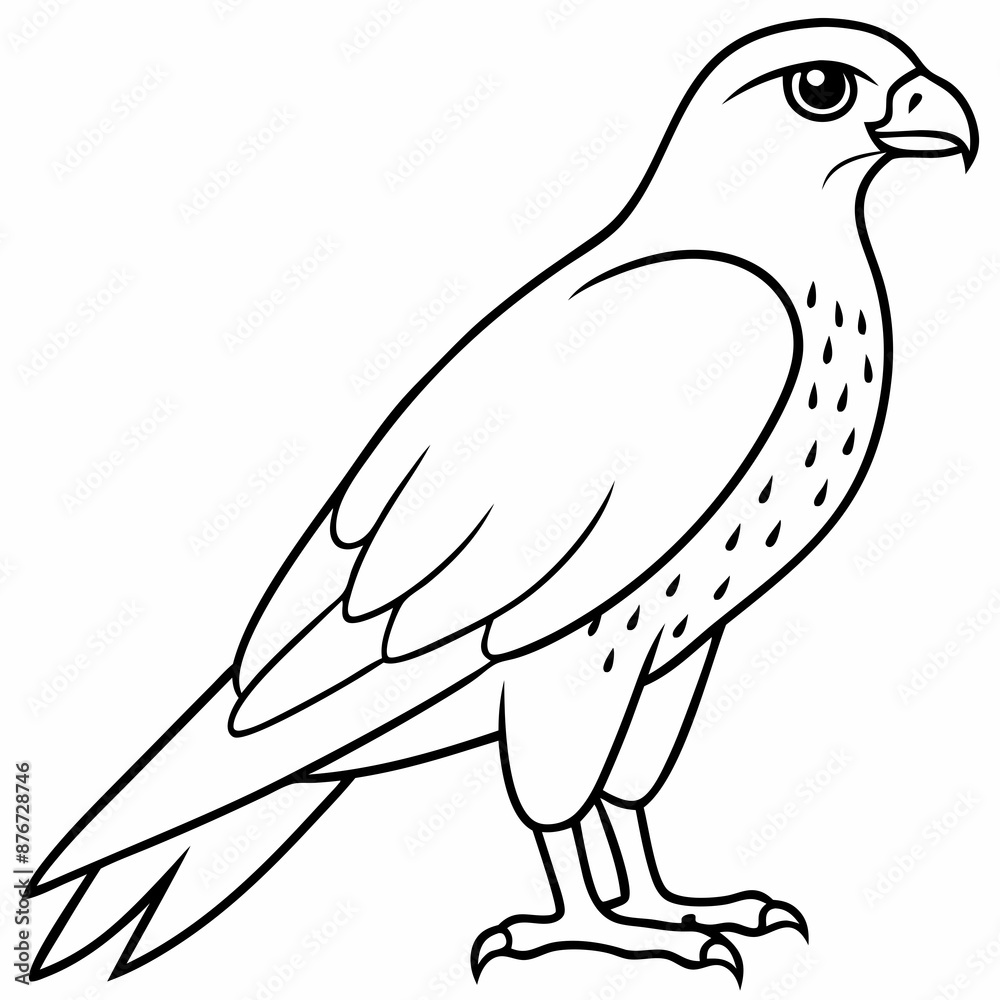 a falcon in white background, simple line vector illustration, coloring page for children a falcon in white background, simple line vector illustration, coloring page for children