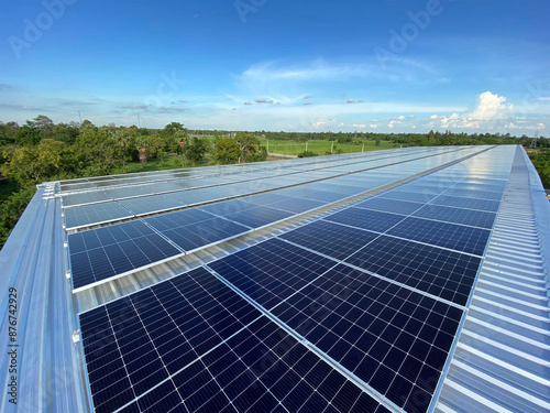 Many pieces of solar panels