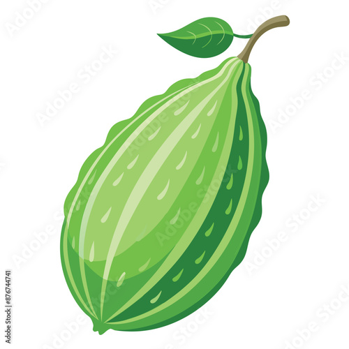 a lifelike bitter gourd against a white backdrop