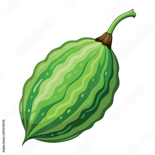 a lifelike bitter gourd against a white backdrop