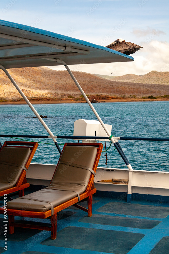 Fototapeta premium pelican sitting on boat roof galapagos islands