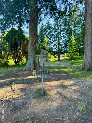 Disc golf basket on a forest course in summer 