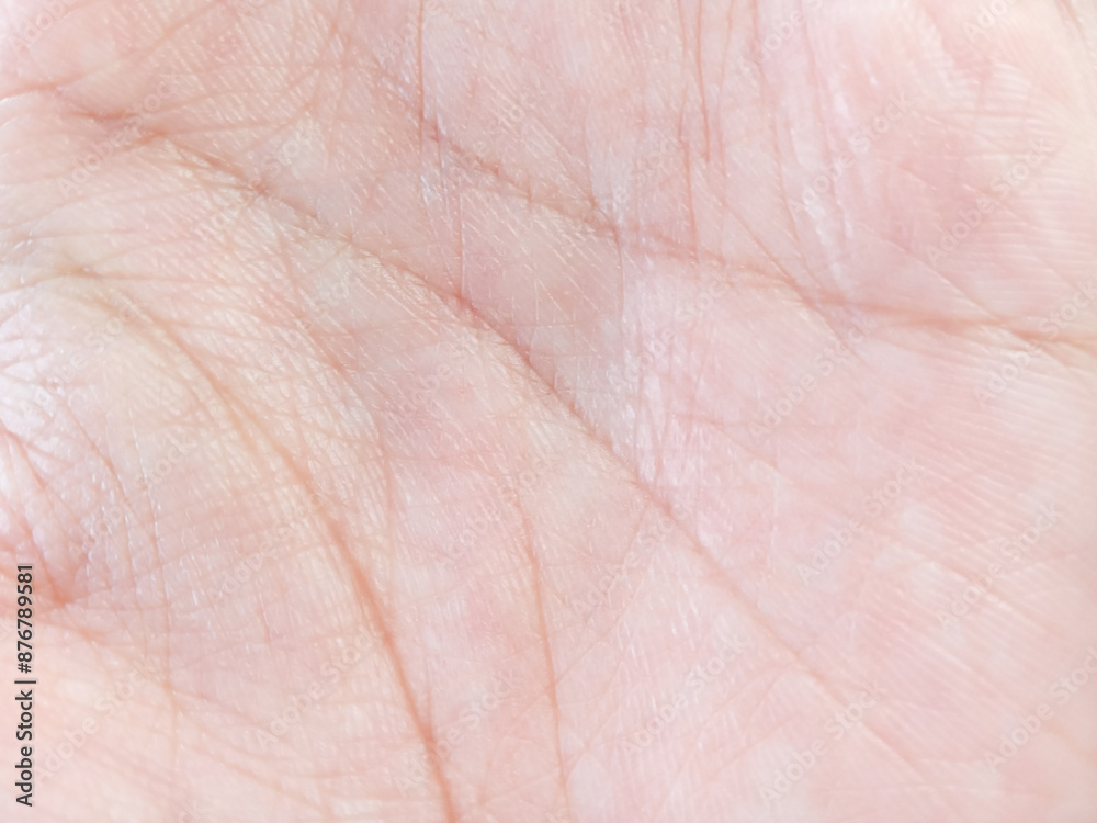 close up of skin. close up of palm surface. human hand. value of human hand lines. part of the human body. palmar surface of the finger close up of skin. close up of palm surface. human hand. value of human hand lines. part of the human body. palmar surface of the finger