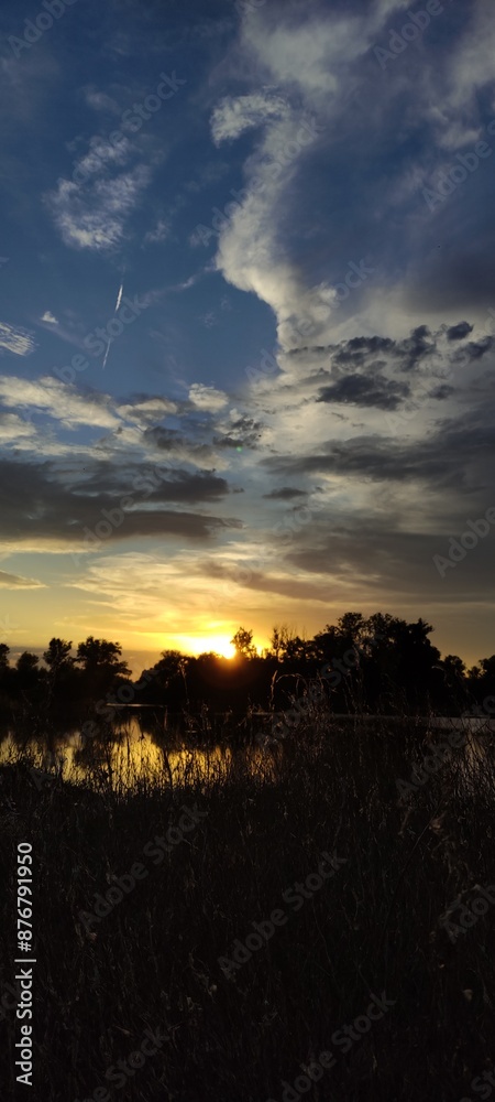 Obraz premium Golden Hour Reflections: Lake and Trees at Sunset