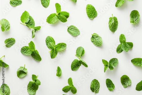 Fresh green mint leaves are arranged in a neat pattern on a white background