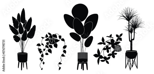 Potted plants silhouette icon set. Black color indoor houseplants in flowerpots. Botanical floral elements in pots for home decor. Flat monochrome vector illustration isolated on white background.