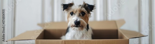 A subscription box mockup for a pet brand photo