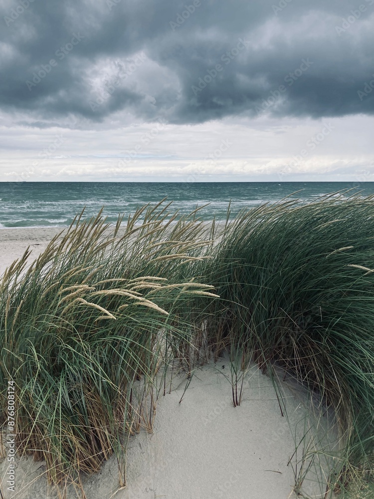 Regen am wilden Weststrand, Nationalpark Vorpommersche Boddenlandschaft, Fischland-Darß-Zingst, Mecklenburg-Vorpommern, Deutschland