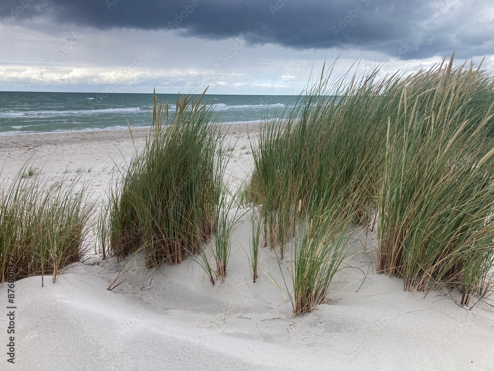 Regen am wilden Weststrand, Nationalpark Vorpommersche Boddenlandschaft, Fischland-Darß-Zingst, Mecklenburg-Vorpommern, Deutschland