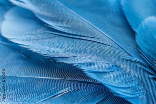 A close-up photograph showcasing the intricate details and texture of a blue bird feather photo