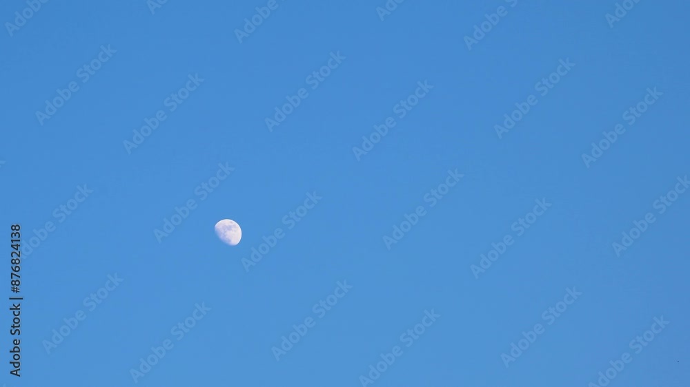 isolated moon in bright blue sky at evening isolated moon in bright blue sky at evening