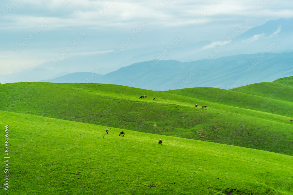 Nalati Grassland beautiful natural valley scenery in Xinjiang, China Nalati Grassland beautiful natural valley scenery in Xinjiang, China