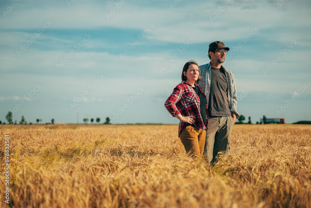 Male and female farm workers posing in ripe wheat plantation field ready for harvest Male and female farm workers posing in ripe wheat plantation field ready for harvest