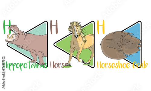 Three animals started with the letter H. Hippopotamus, including a horse and a horseshoe crab. Hippos and horses can run on land and horseshoe crabs can swim on the ocean.  photo