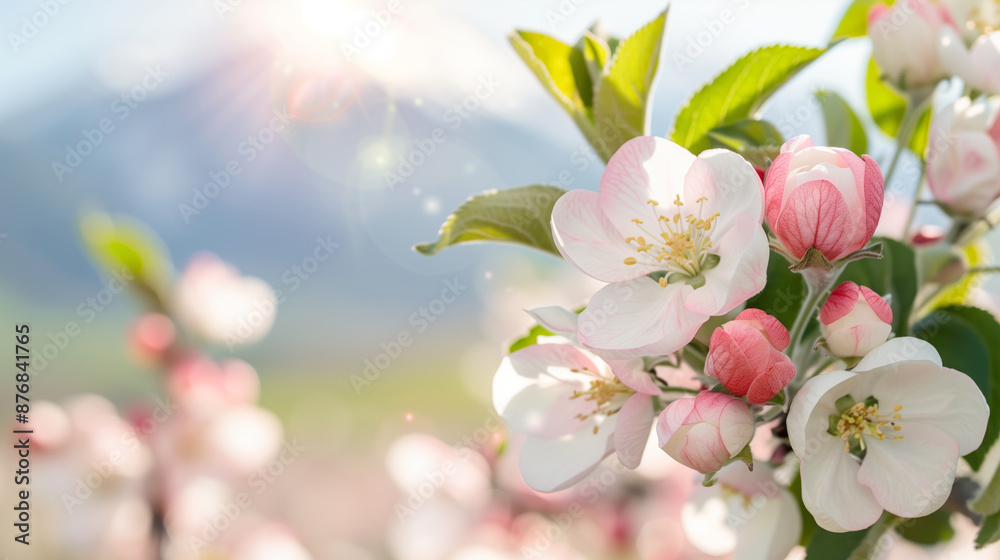 Obraz premium Close-up of beautiful blooming cherry blossoms with a scenic mountain background. Perfect for spring themes and nature enthusiasts.