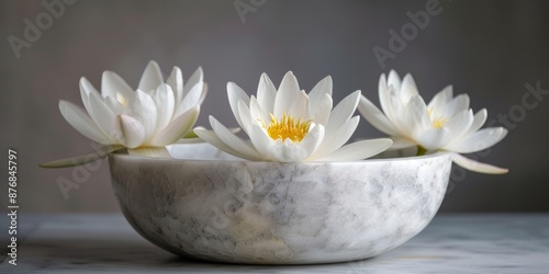 White lotus flowers in a marble bowl, against a solid marble gray background 