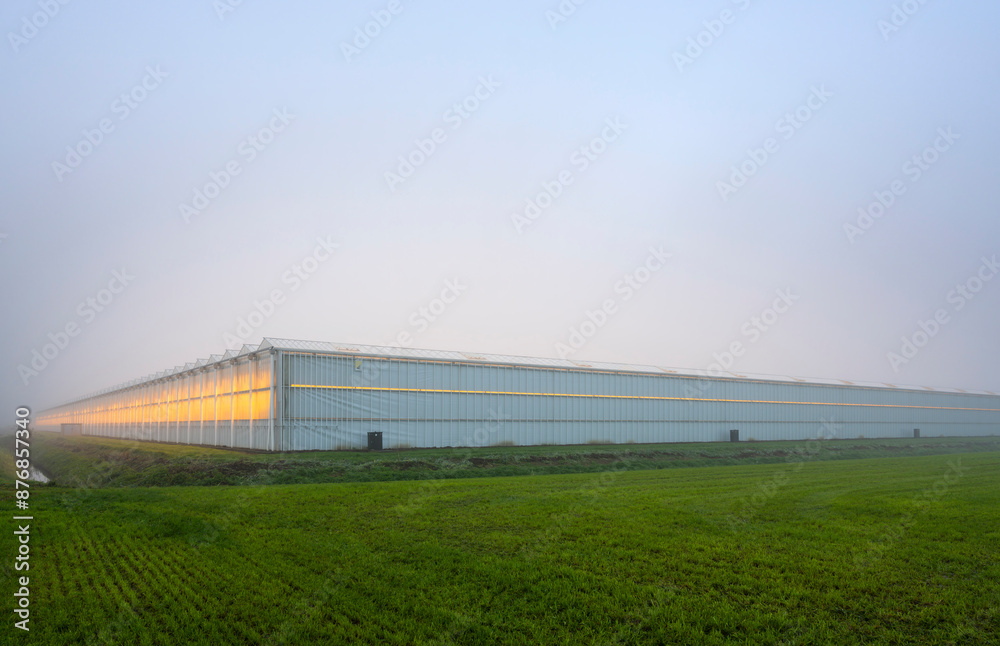 Greenhouses under sky near field at sunrise Greenhouses under sky near field at sunrise