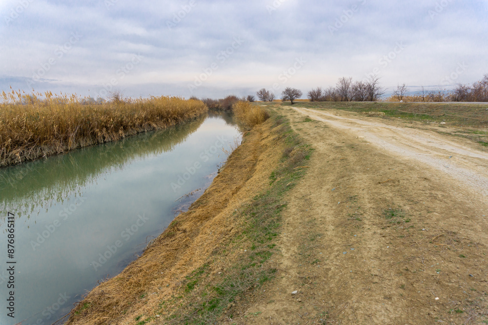 A water ditch flows along an earthen road. Dense yellow tall grass on the shore. Trees without leaves.