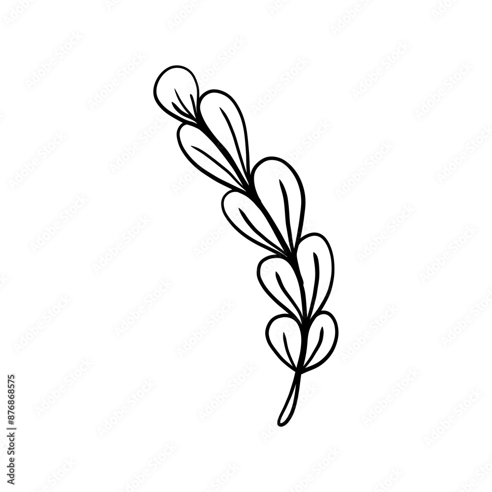 Flowers Flowers